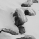 Illustration for article titled Shooting Challenge: ICE, Gallery 1